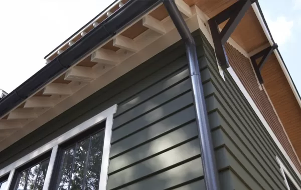 Gutters & Siding
